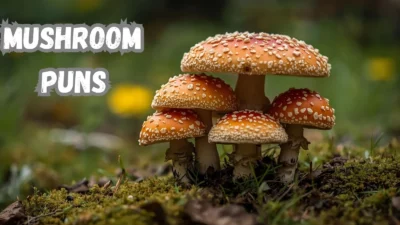 Mushroom Puns