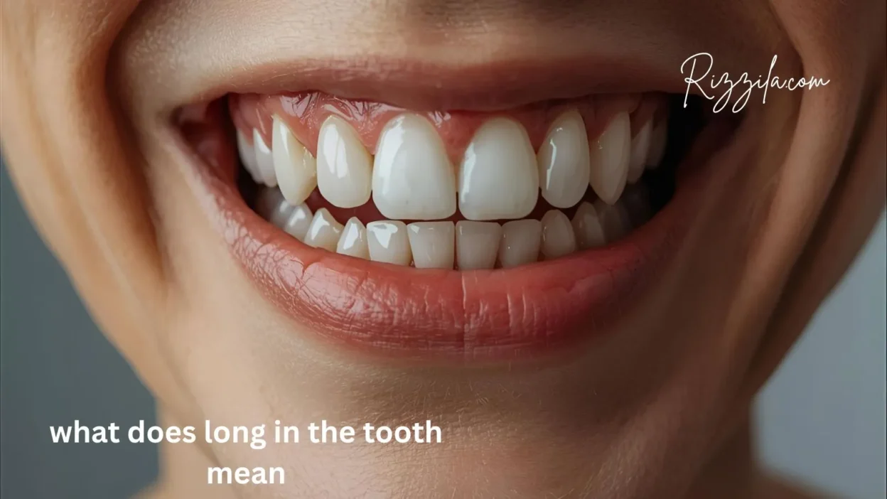 what does long in the tooth mean