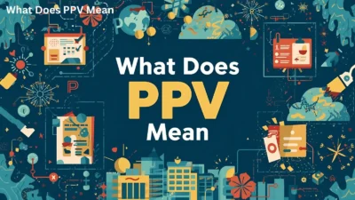 What Does PPV Mean